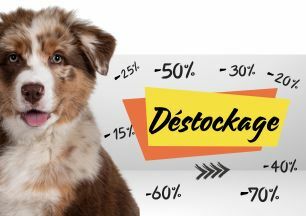 Destockage hiver