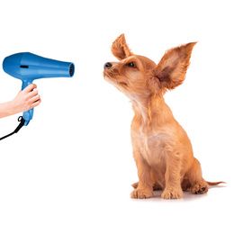 Matériel Professionnel