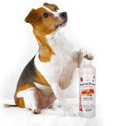 Cosmétique et Hygiène de l'animal