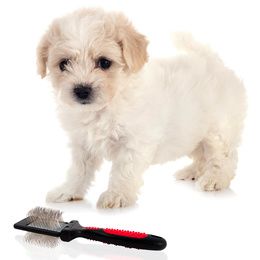 Outils de toilettage